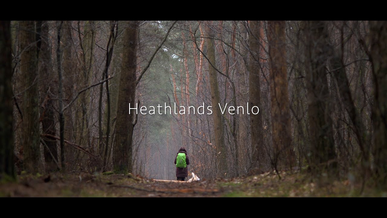 Heathlands Venlo (DJI Mini 2  &  Lumix G9)