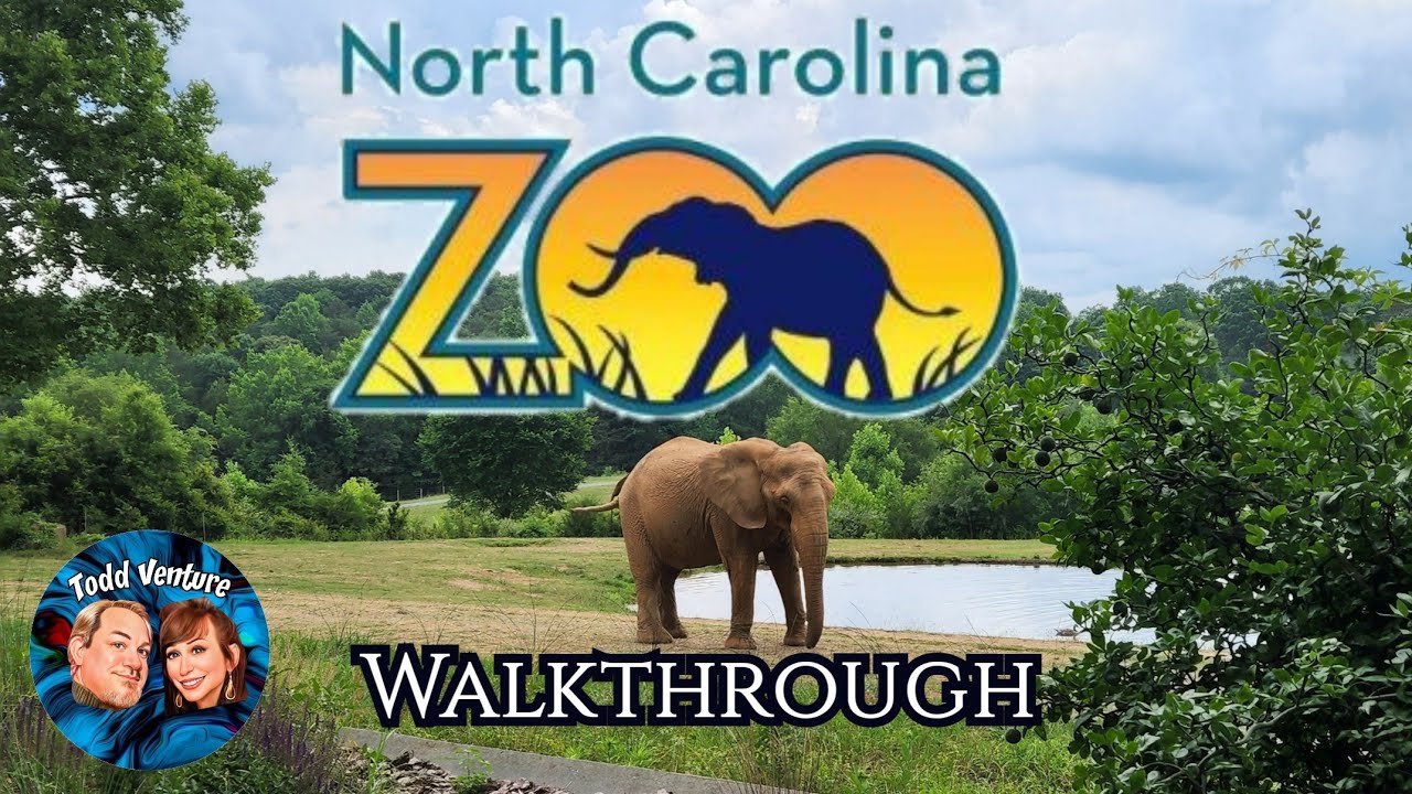 North Carolina Zoo | The largest Habitat Zoo in the World | Complete Zoo Walkthrough.  🙂 2022