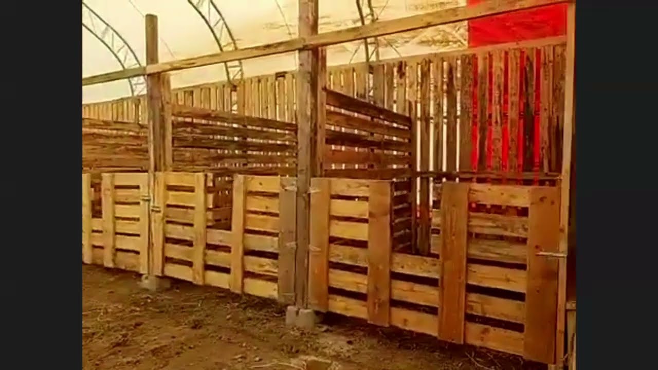 Brand New Horse Stable at Off Grid Adventure!