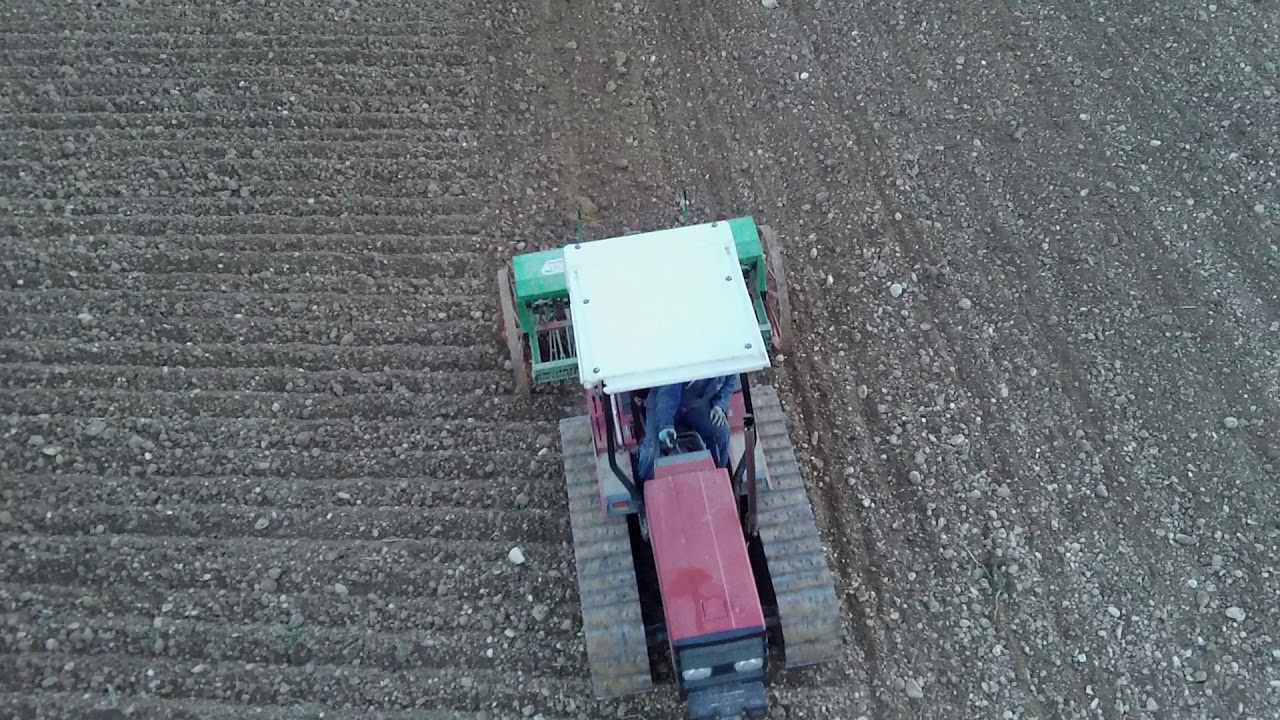 Semina grano 2020
