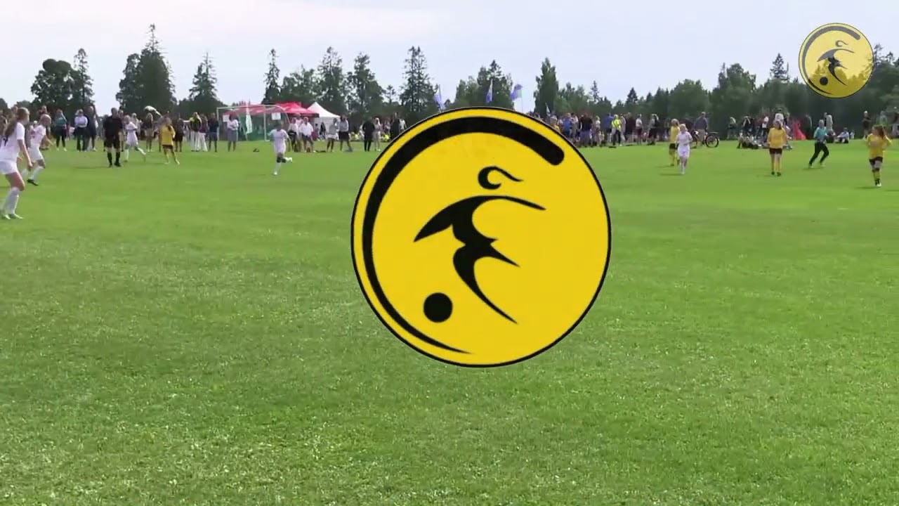 Heming IL vs. 1. FFC Fortuna Dresden 4:0
