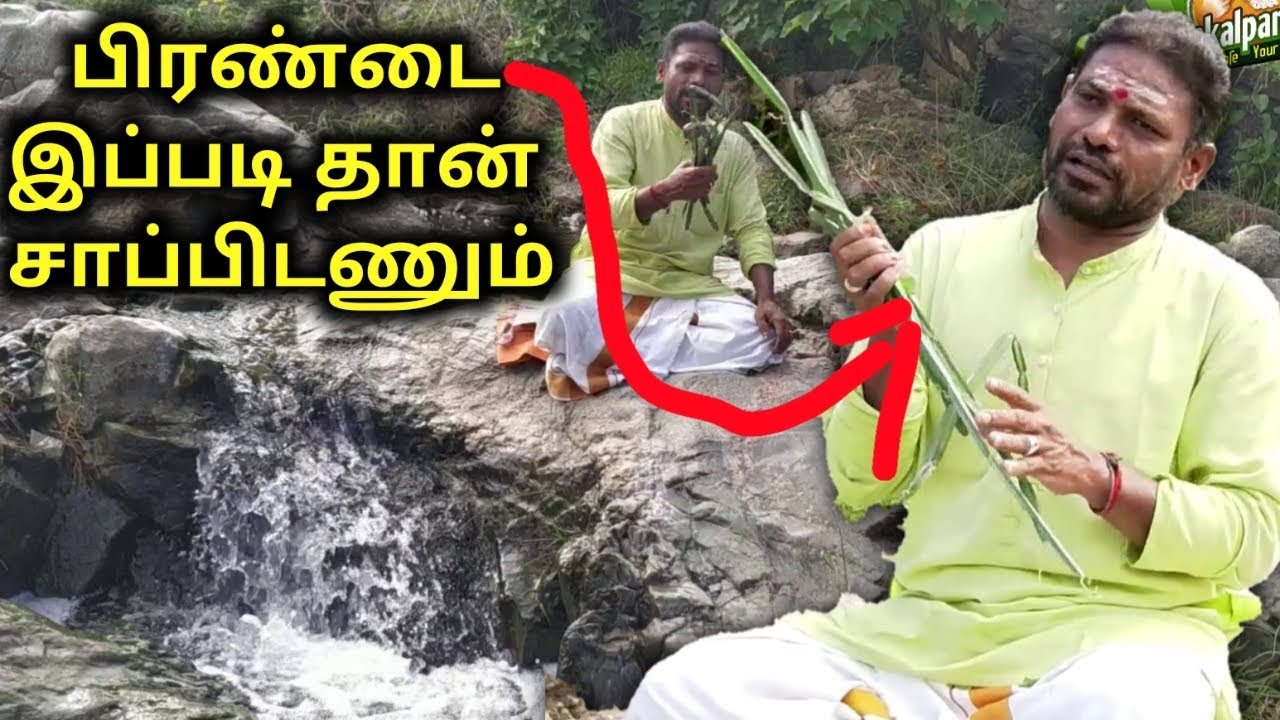 பிரண்டை இப்படித்தான் சாப்பிடனும்,தங்கத்தமிழ் முருகன் || KAYAKALLPAM TV