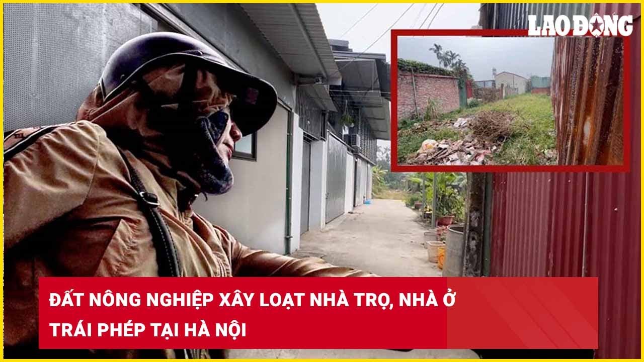 Đất nông nghiệp xây loạt nhà trọ, nhà ở trái phép tại Hà Nội| Báo Lao Động