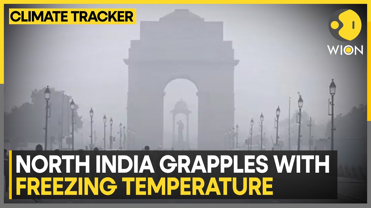 Light Rain Forecast For Today In North India | WION Climate Tracker