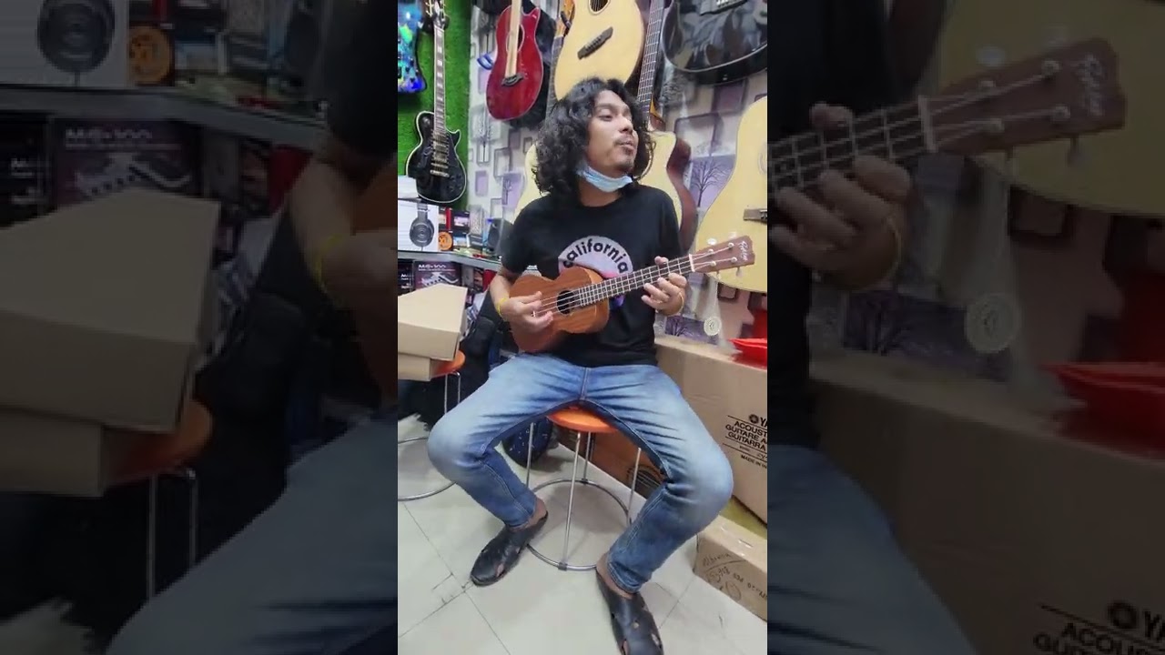 কেমনে ভুলিব আমি। উকুলেলে কভার।অনিমেষ রয়।