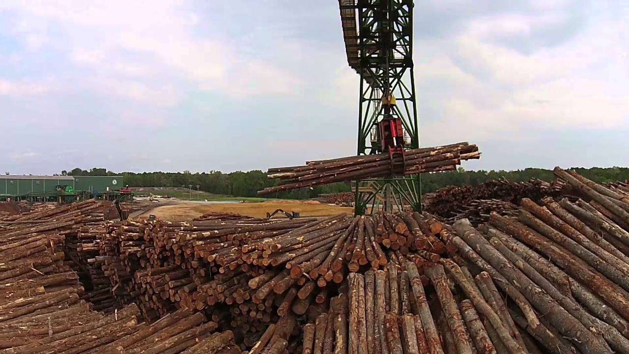 Build Your Legacy - Battle Lumber Co.