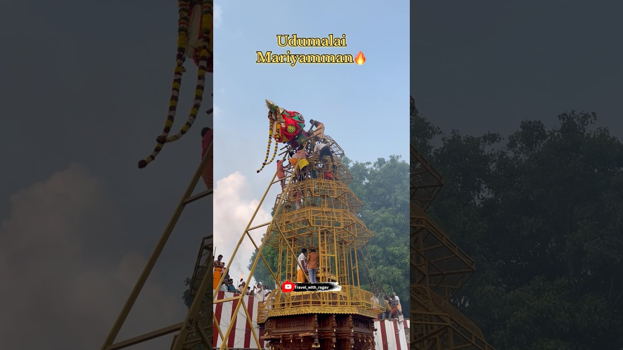 Udumalai mariyamman 🔥#udumalai #udumalaipet #udumalpet #mariyammal #mariyammankovil #tamil #culter
