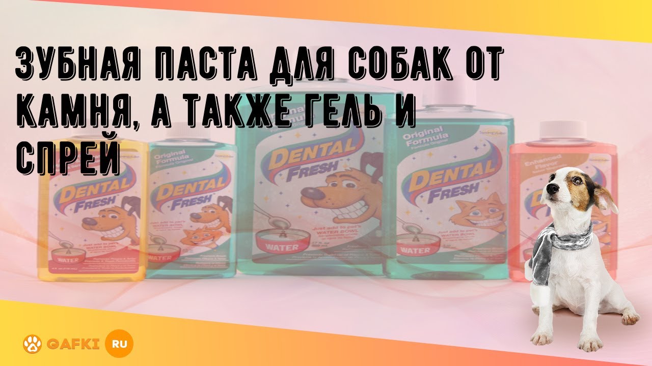 Зубная паста для собак от камня, а также гель и спрей