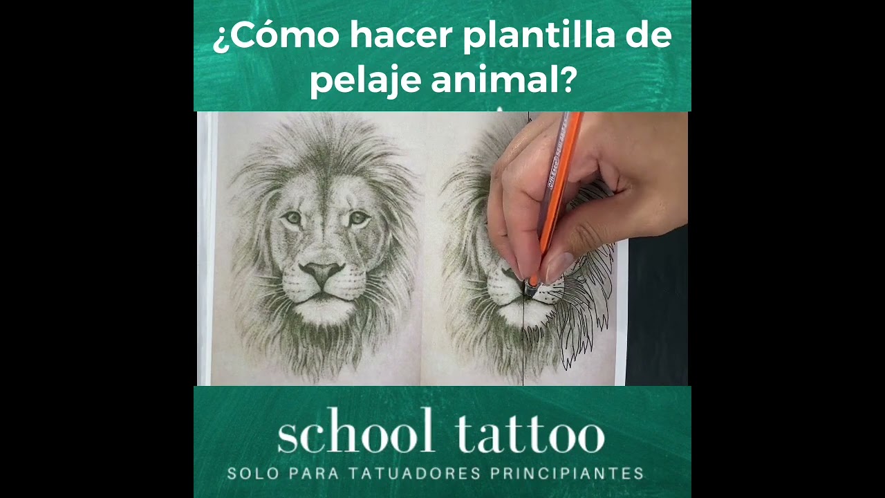 ¿Cómo hacer plantilla de pelaje animal?