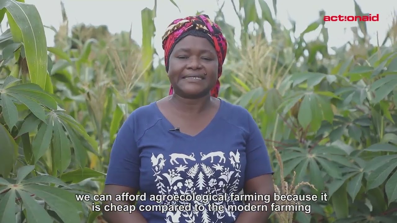 Developing agroecology in Tanzania