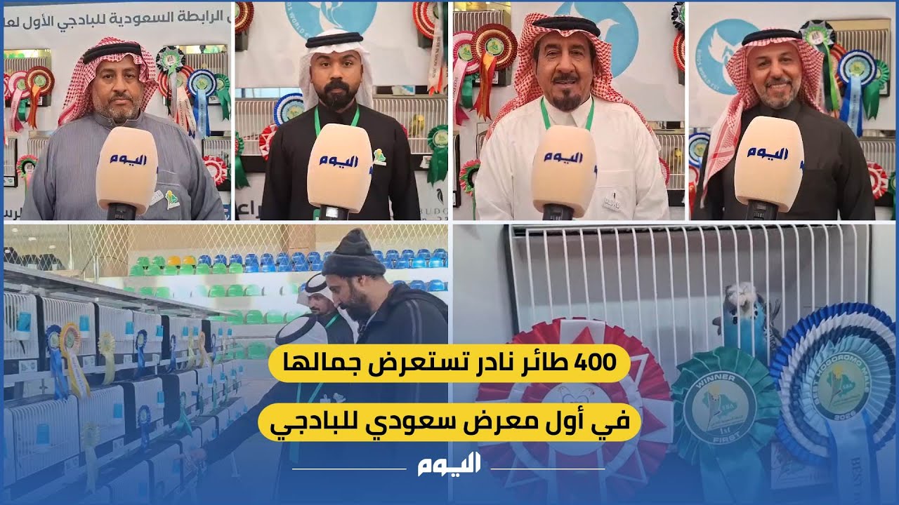 400 طائر نادر تستعرض جمالها في أول معرض سعودي لـ #البادجي