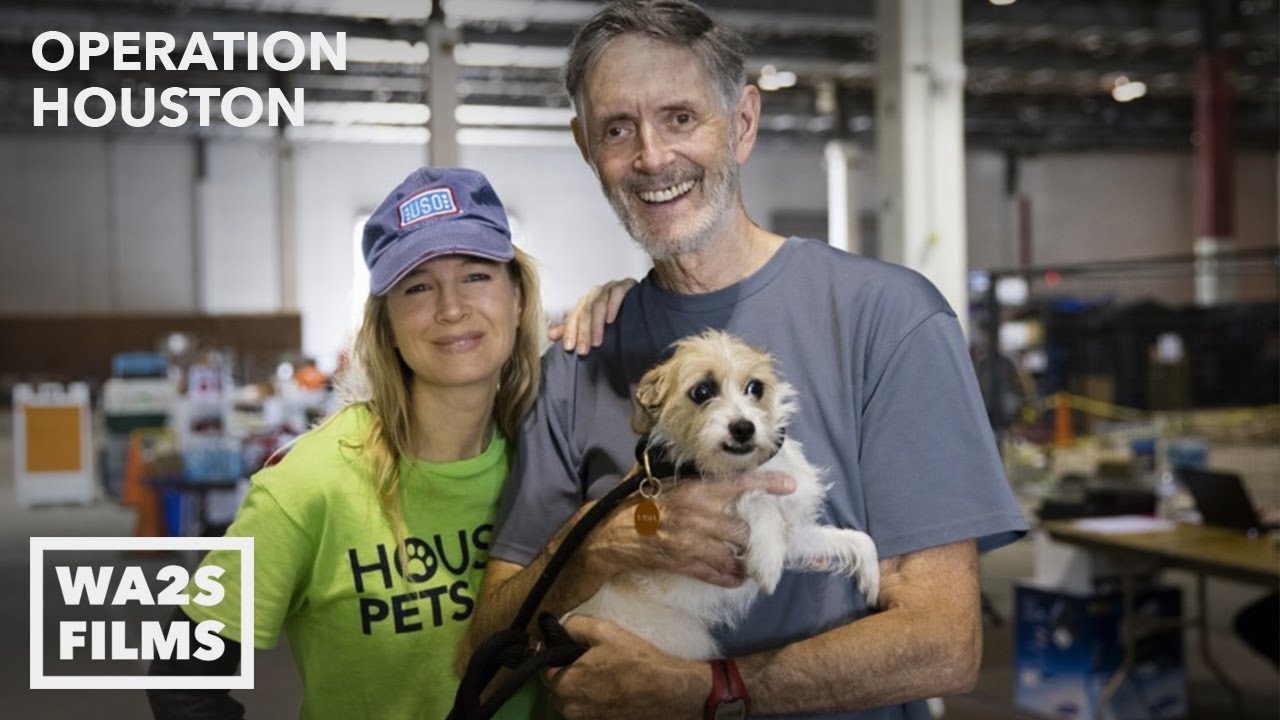 Renée Zellweger Helps Rescue Dogs After Hurricane Harvey - Hope For Dogs | My DoDo