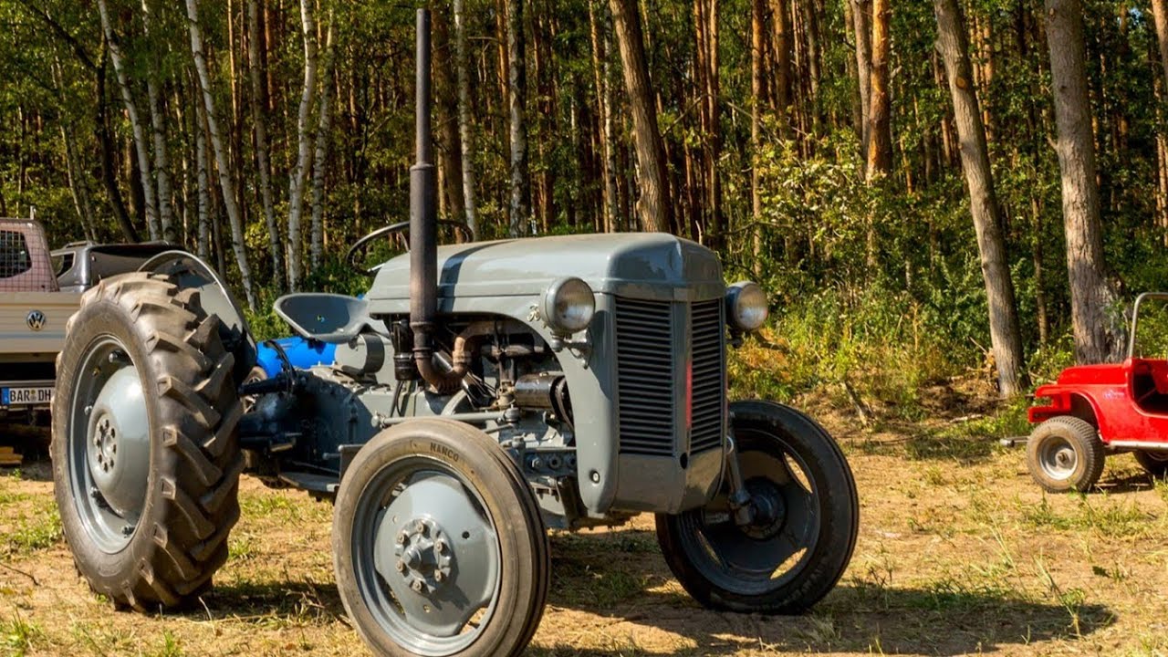 1953 Ferguson TEA 20 | walkaround and drive