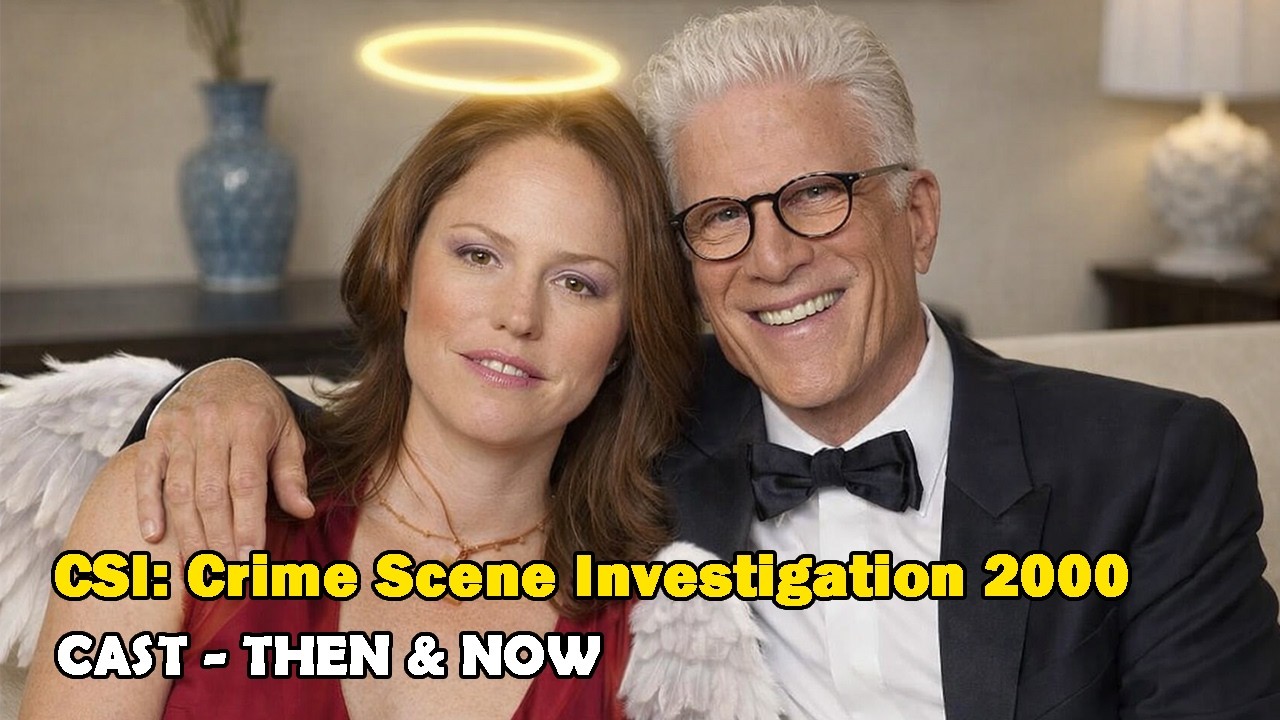 CSI Cast 2000 vs 2026 &mdash; The Most Dramatic Glow-Ups & Losses! Jorja Fox, Ted Danson, William Petersen