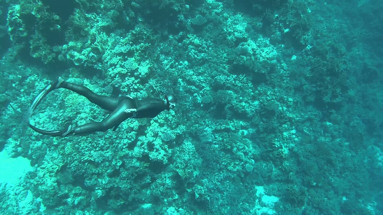 EGYPT FREE DIVING | GO PRO