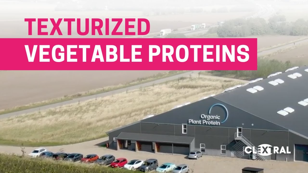 Texturized Vegetable Proteins production with Clextral