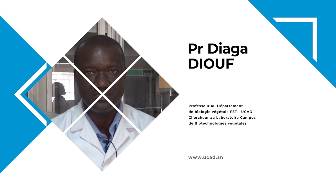 LUX MEA LEX n° 3 de mars 2020, avec Pr Diaga DIOUF du Laboratoire Campus de Biotechnologies ...
