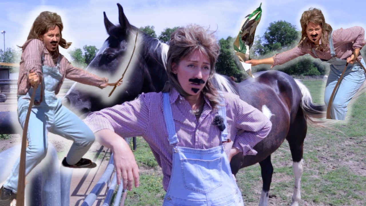 Horse Trainers be like...