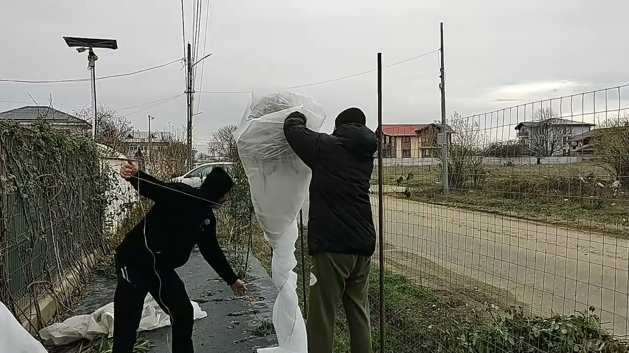 Cum și cu ce protejez plantele de ingheț!