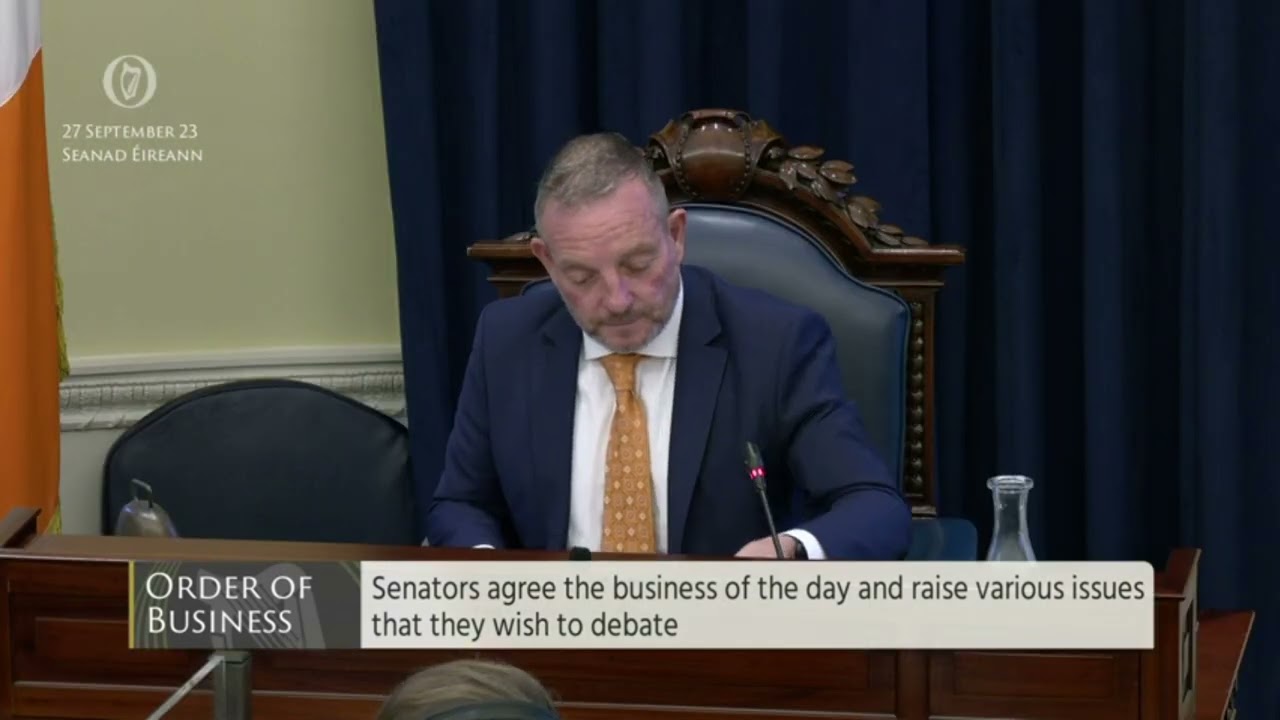 Irish Naval Service decline