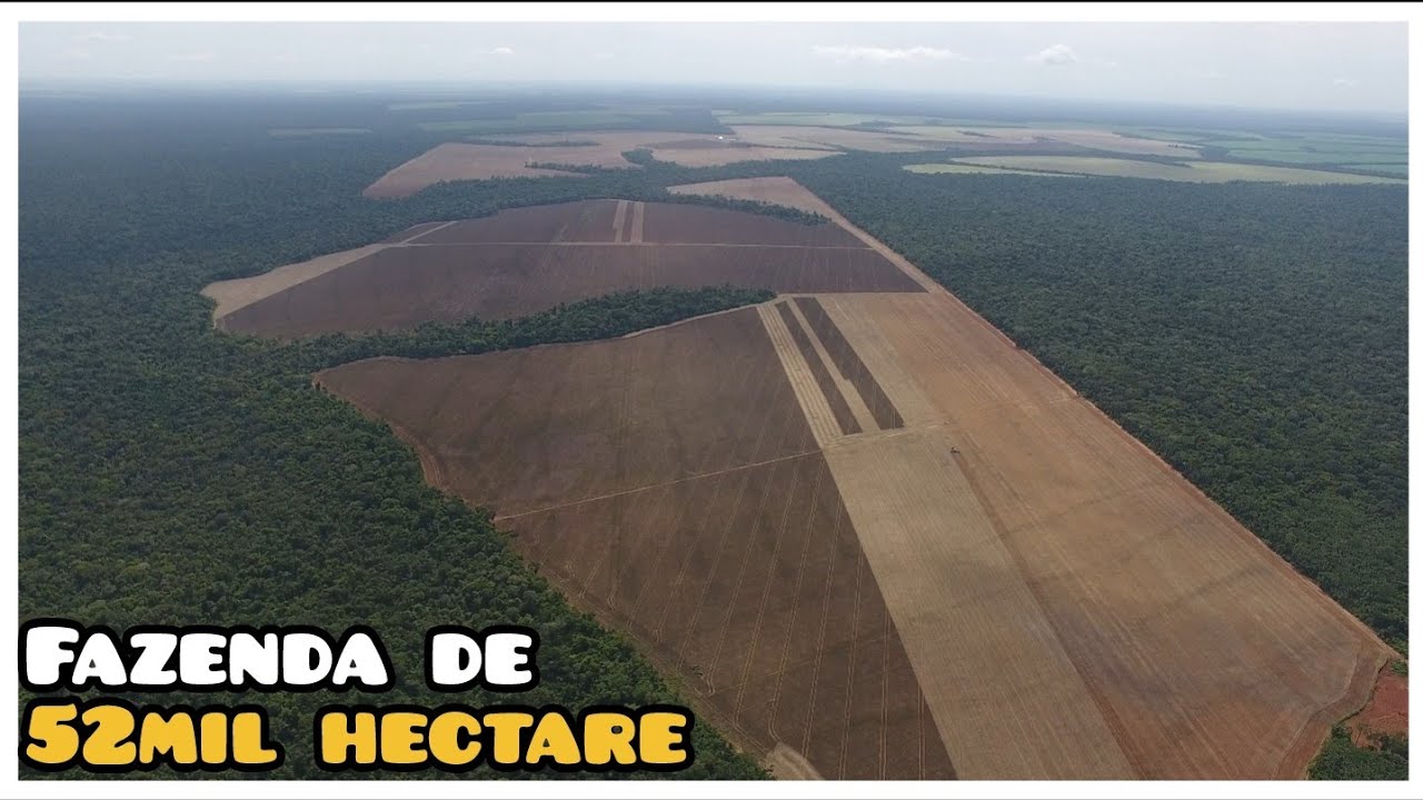 FAZENDA MUITO GRANDE  || PLANTIO DE MILHO E COLHEITA DA SOJA