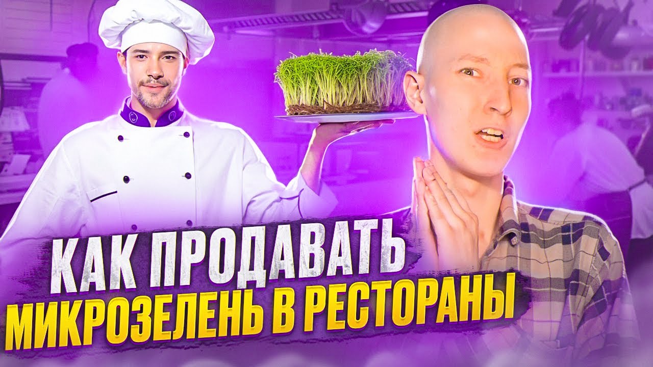 Как продать микрозелень в ресторан? Пошаговая инструкция!