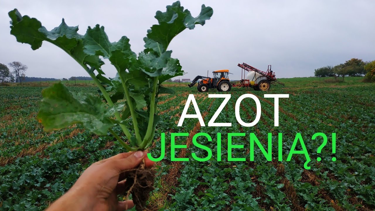 Pierwsza dawka azotu w rzepak! VLOG 235 Rolnik NIEprofesjonalny