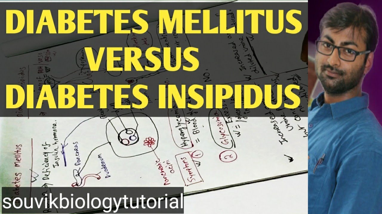 DIABETES MELLITUS VERSUS DIABETES INSIPIDUS | DIABETES |WB SSC SLST BIOLOGY | NEET COURSE