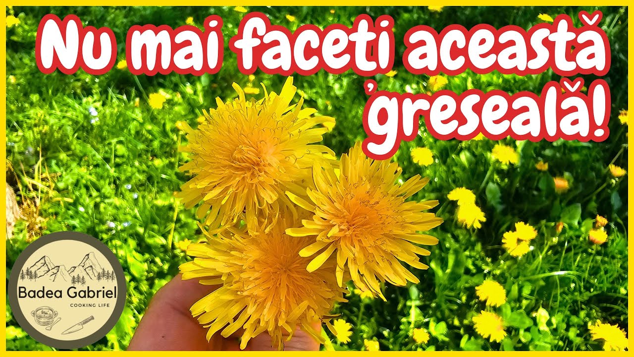 PAPADIE - Medicament sau otrava?!  CUM O FOLOSIM CORECT?!