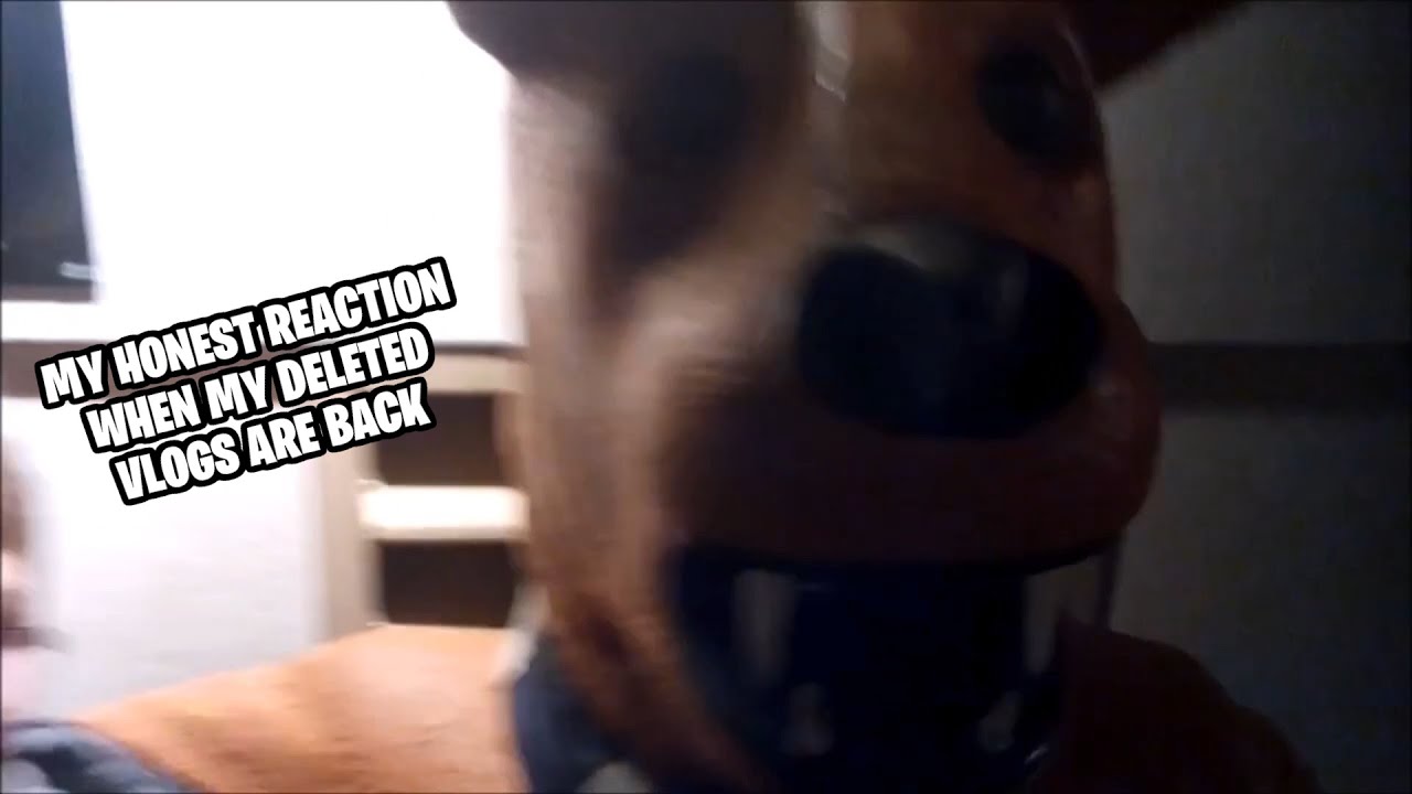 Best of FloatinPineapple Deleted Vlogs (2017)