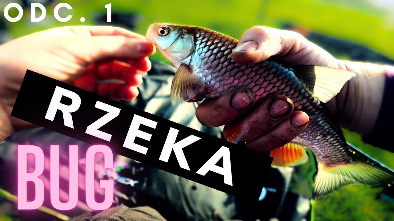 MAJ&Oacute;WKOWY FEEDER NAD BUGIEM!