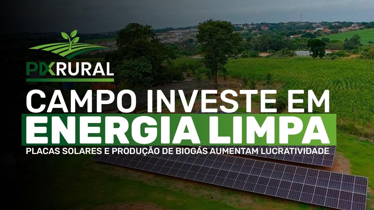 ENERGIAS LIMPAS no Campo: Porcos, Hortaliças e Biogás TRANSFORMANDO o BRASIL