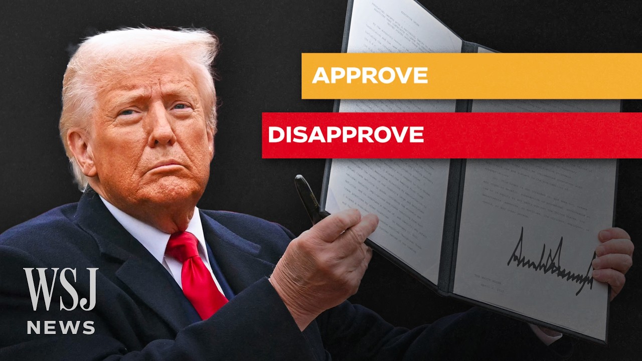 WSJ Poll: Voters&rsquo; Reaction on Trump Tariffs, Inflation and Economy | WSJ News
