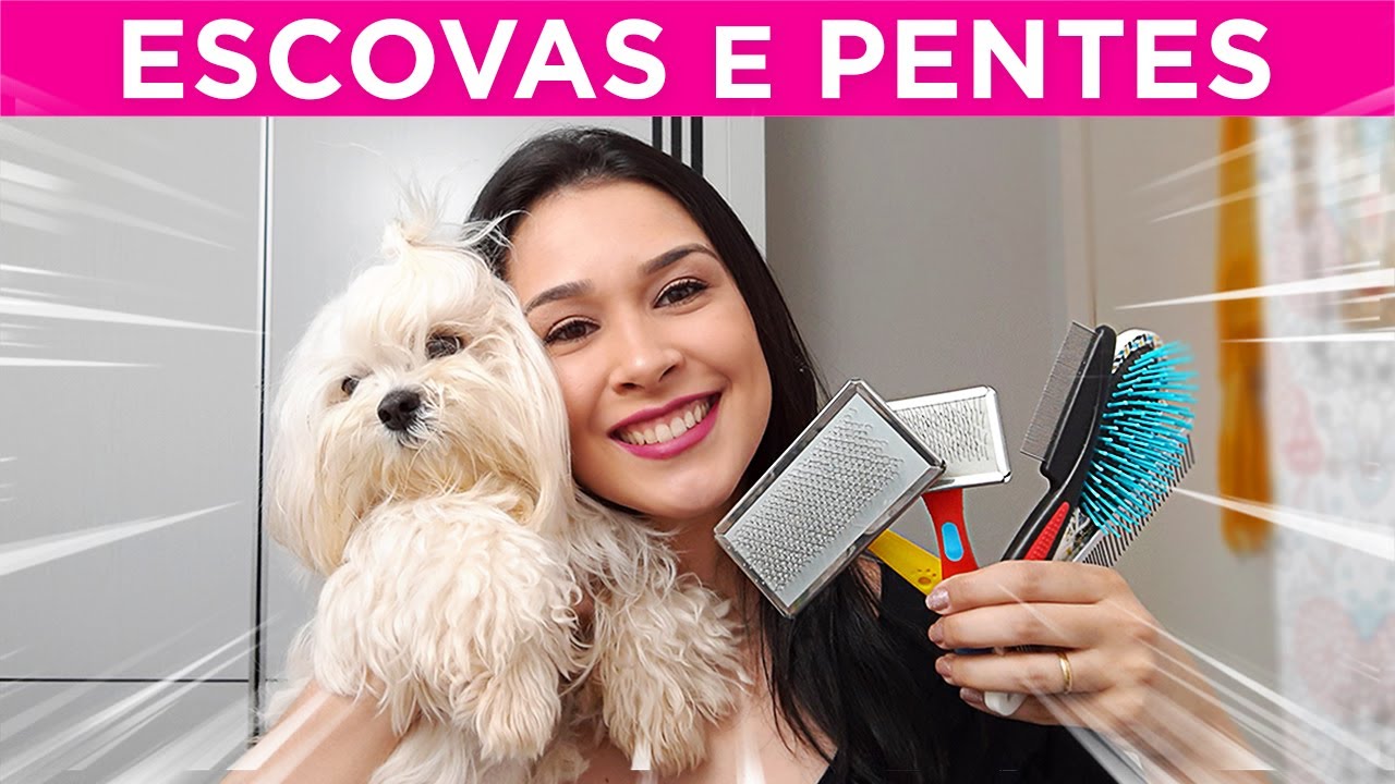 ESCOVAS e PENTES que Uso na minha SHIH TZU de Pelo Longo! 🐾