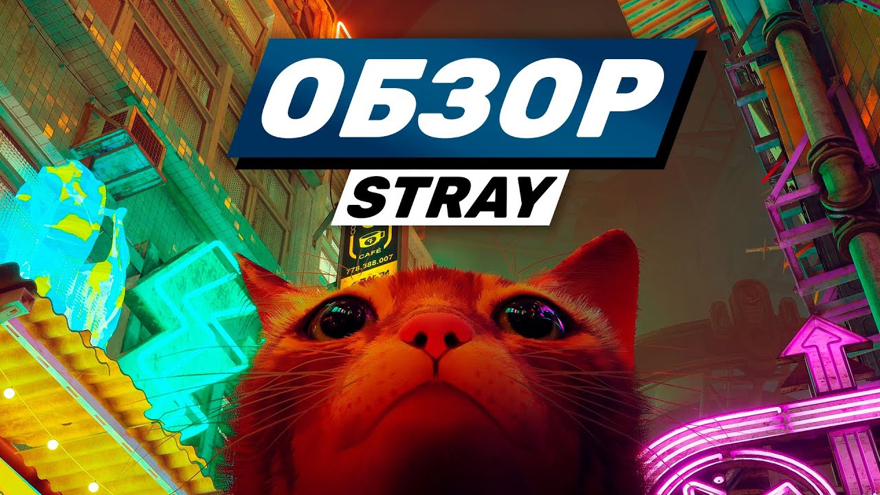 Stray обзор за минуту | #shorts