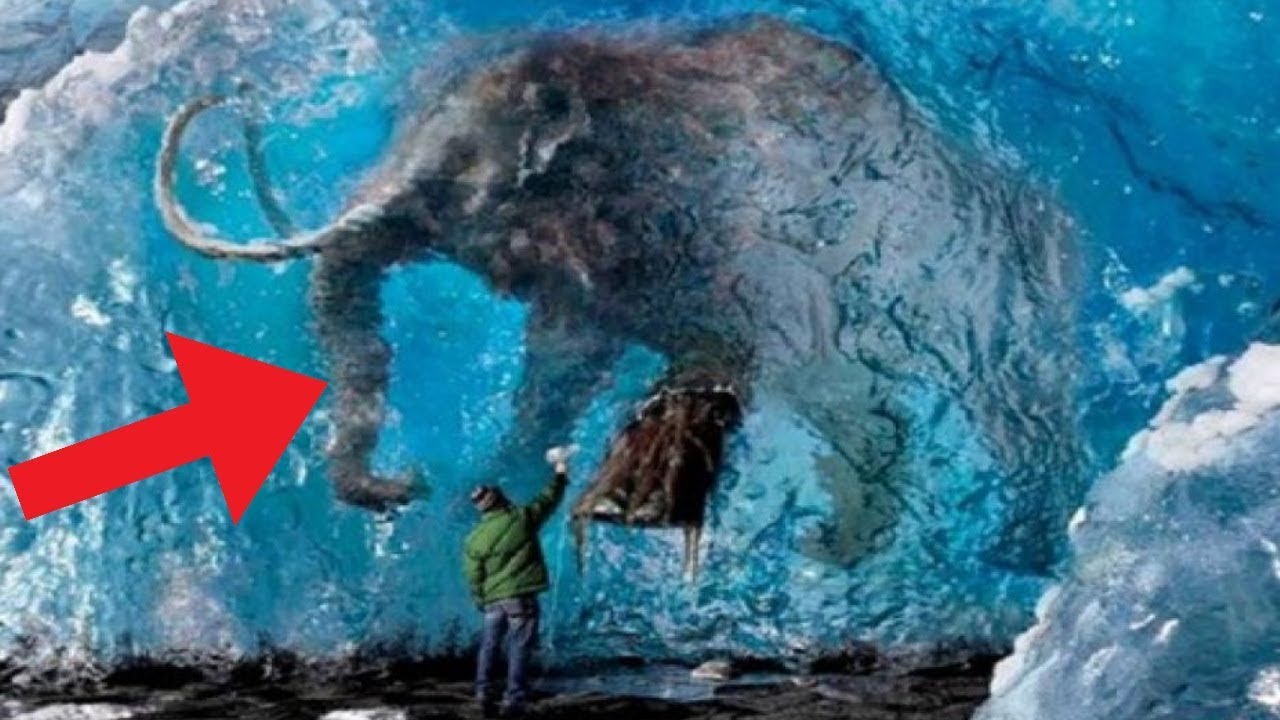 Animals Found FROZEN In Ice!