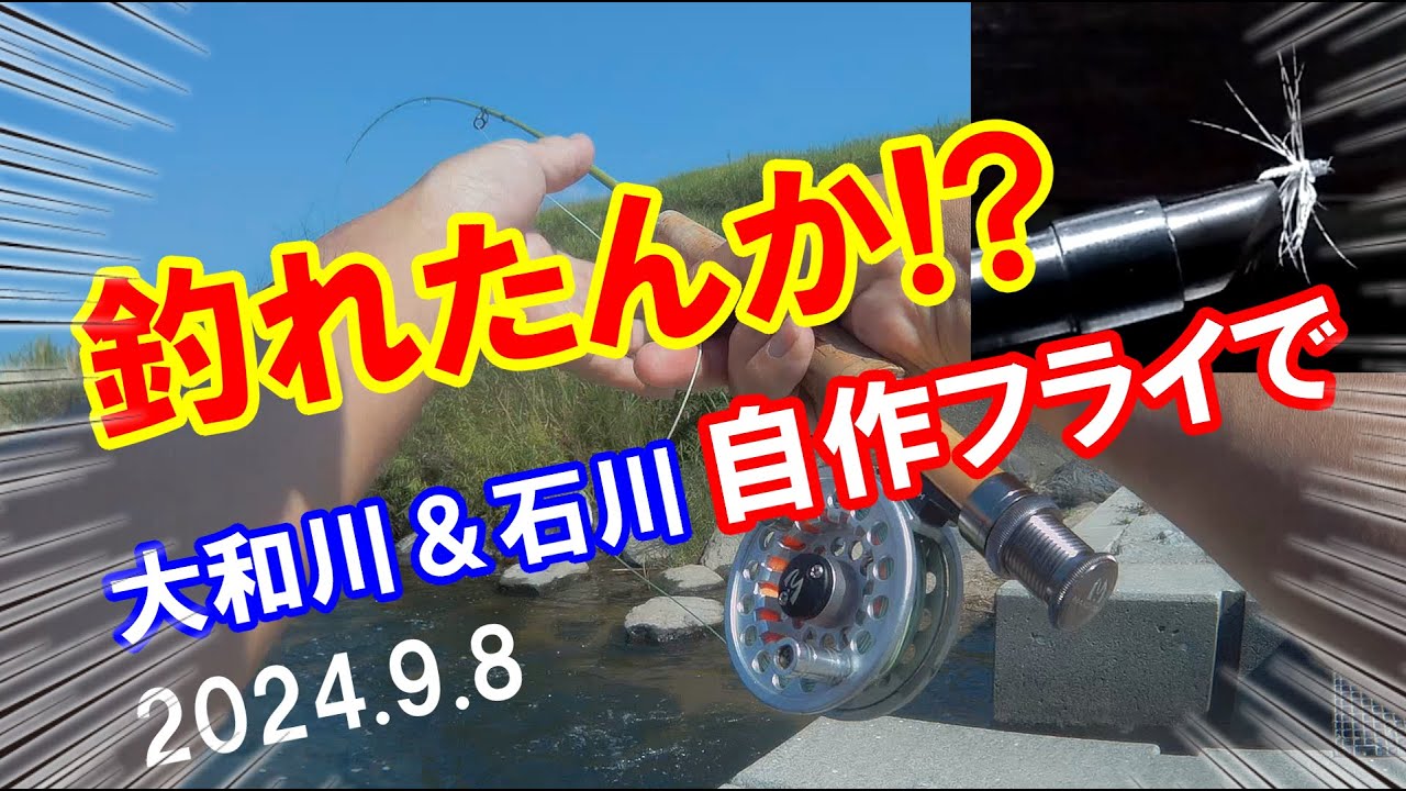 【フライフィッシング・大和川オイカワ釣り】ヤバい！ダイソーやセリアの100均釣具で初タイイングのフライを大和川と石川で実釣してみた！果たしてオイカワは釣れたのか？MAXCATCH