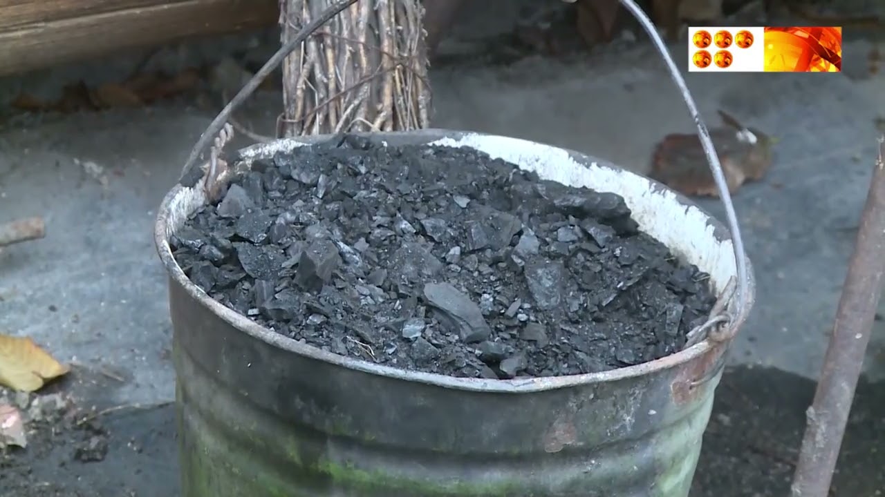 Көмір бағасының өсуі