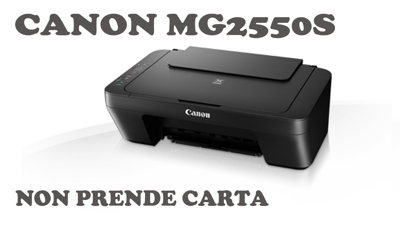 Riparazione Canon Pixma MG2550S non prende la carta fa rumore