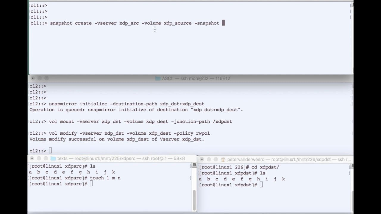 NetApp ONTAP DataProtection with SnapMirror 7