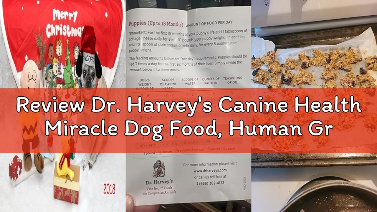 Review Dr. Harvey's Canine Health Miracle Dog Food, Human Grade Dehydrated Base Mix for Dogs with 9