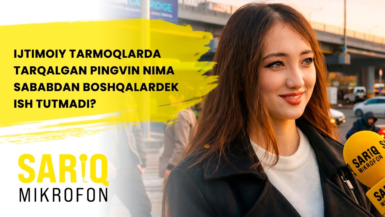 IJTIMOIY TARMOQLARDA TARQALGAN PINGVIN NIMA SABABDAN BOSHQALARDEK ISH TUTMADI?
