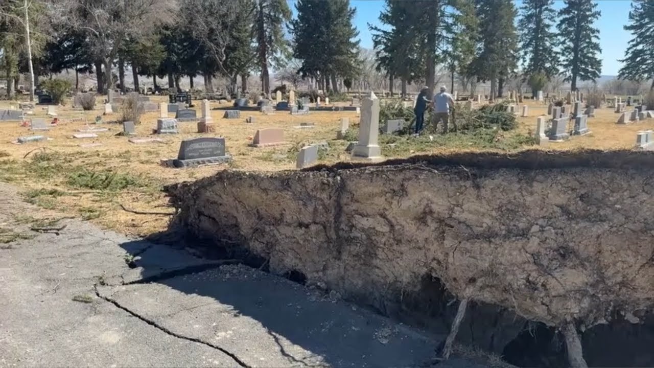 В результате мощного урагана в Ферроне рухнули исторические деревья, но большинство надгробий на ...