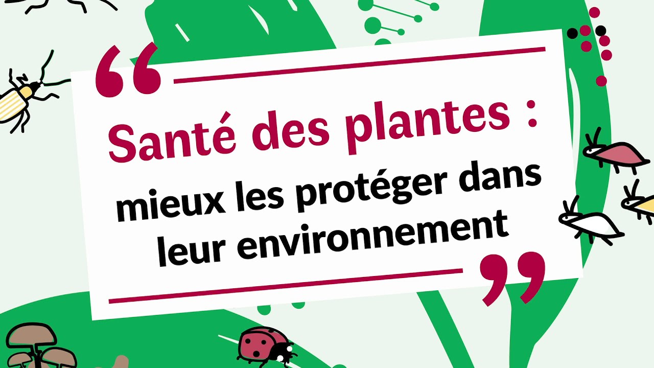 1. Sant&eacute; des plantes: mieux les prot&eacute;ger dans leur environnement / La protection des plantes