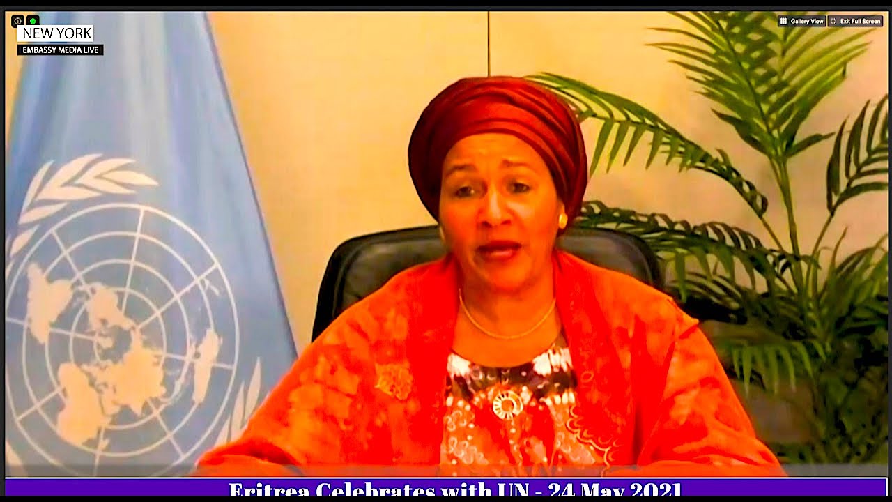 EmbassyMedia - Eritrea Celebrate Independence Day with the UN!