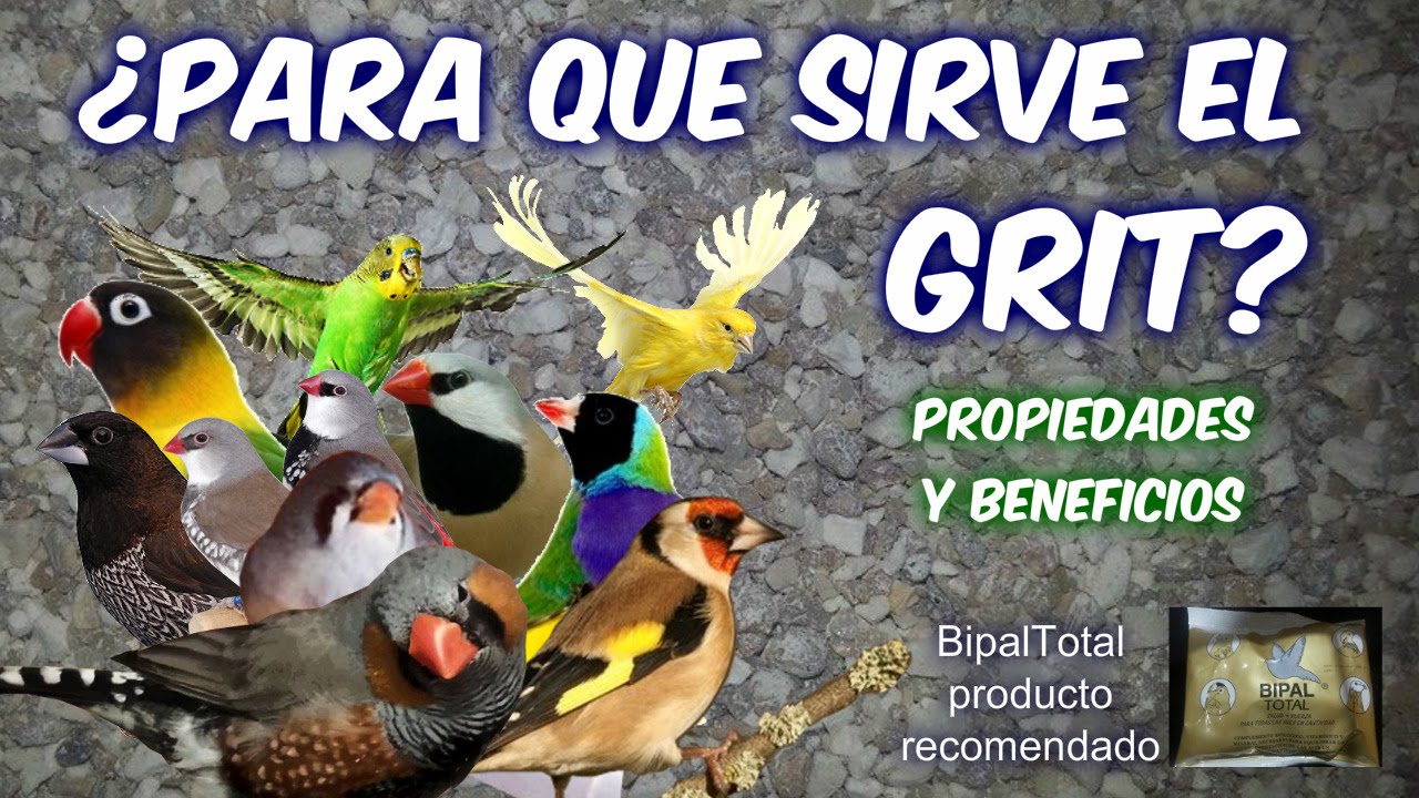 EL GRIT - PROPIEDADES Y BENEFICIOS.