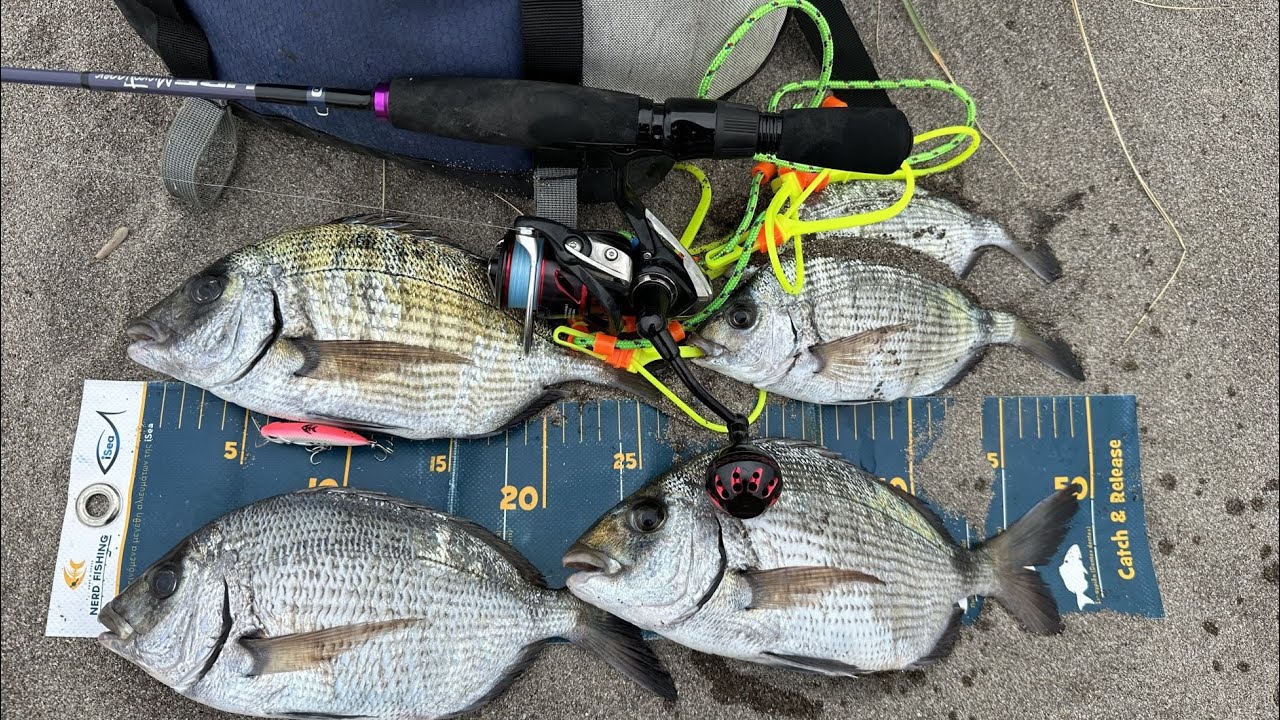 LRF - Βρήκα αυτό που θέλαν οι Σαργοί!