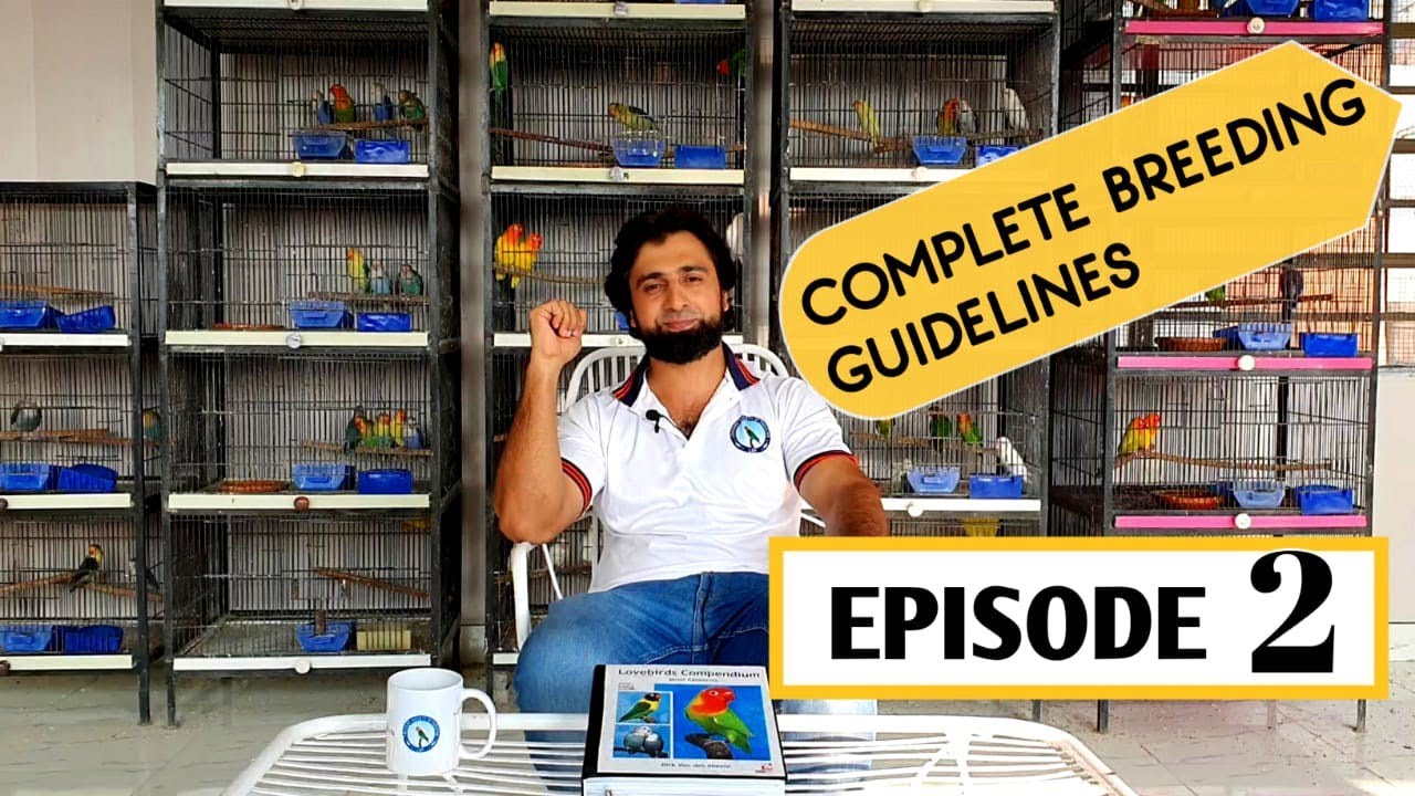 EPISODE 2.Complete Breeding Guidelines|sanitisation|Breeding chart|Required Tools 