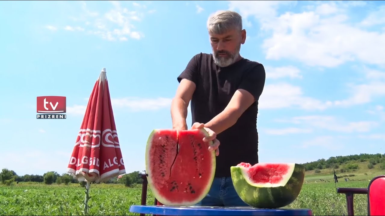 Fermerit nga Sopija e Suharekës i piqet shalqini
