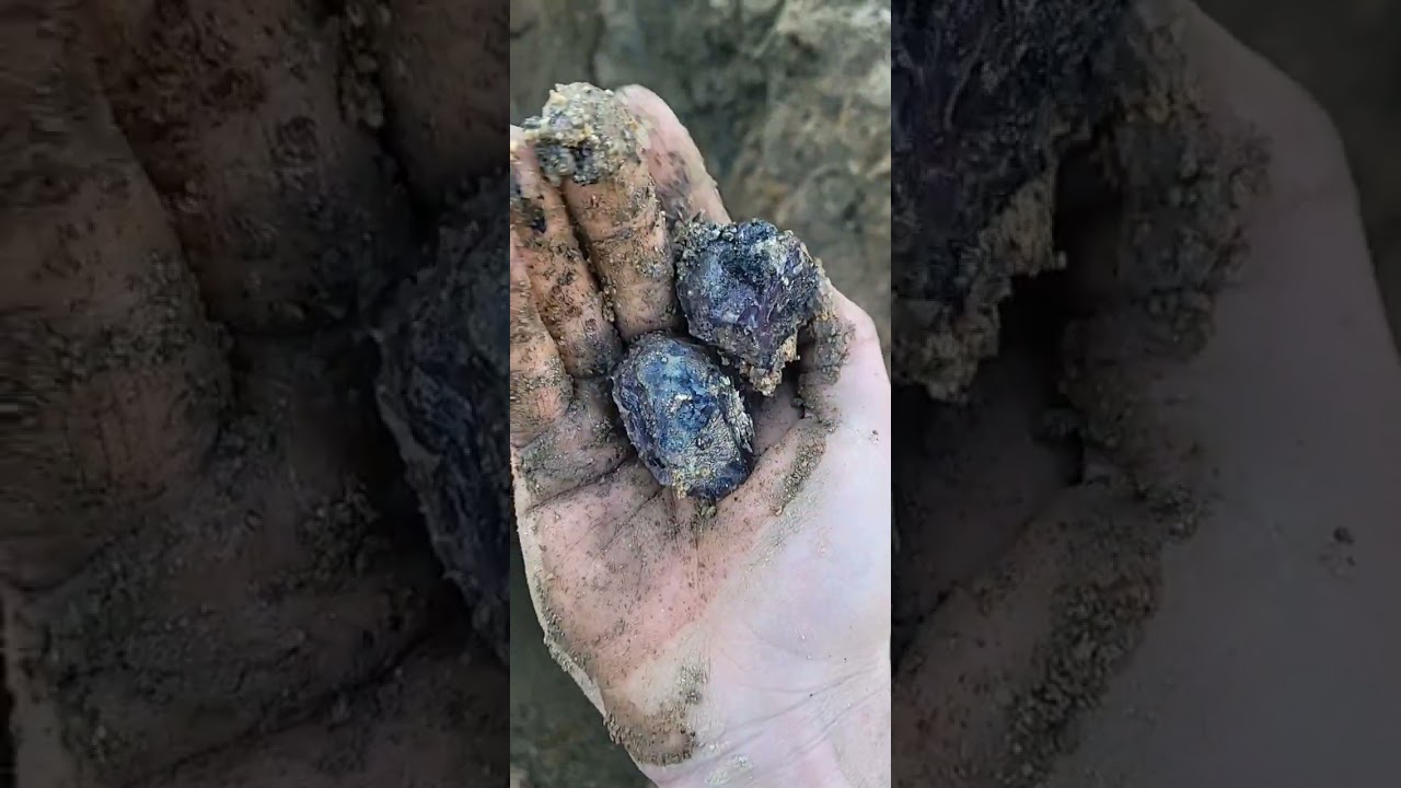 I FOUND A NEVER ENDING AMYTHST VEIN THAT KEPT GOING #crystals #treasure #minerals #amythyst #rocks